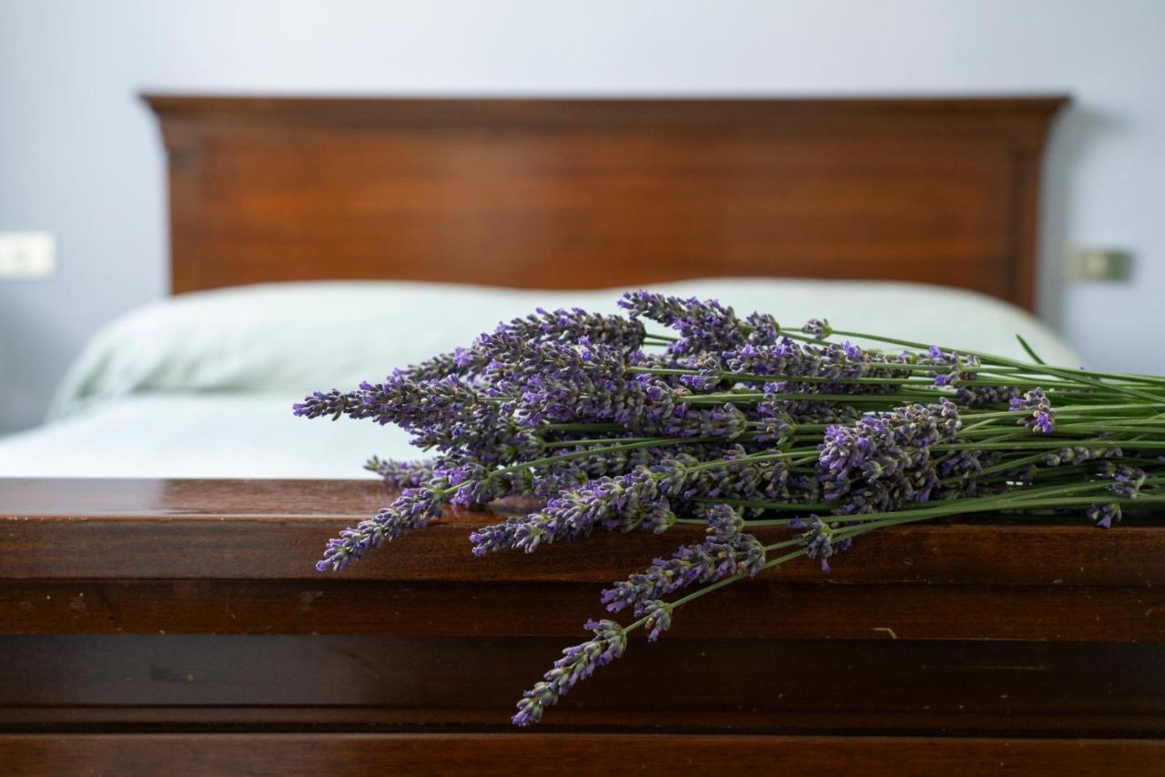 Lago Maggiore A 10 Minuti "Cascina Lavanda" Casalzuigno エクステリア 写真
