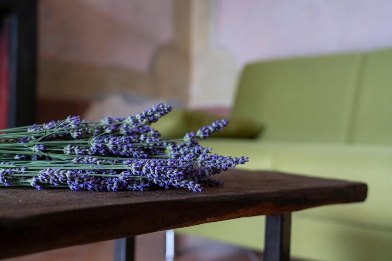 Lago Maggiore A 10 Minuti "Cascina Lavanda" Casalzuigno エクステリア 写真